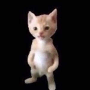 Meet your Posher, Erick